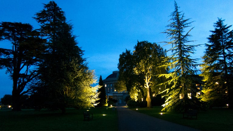 Lights at Ickworth